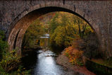 Filename=0007.jpg
Filesize=293KiB
Dimensions=800x533
Date added=Feb 10, 2011 0007.jpg