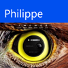 Avatar de l’utilisateur