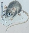 Avatar de l’utilisateur