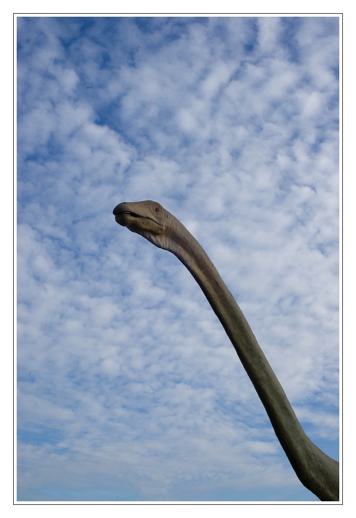 100419