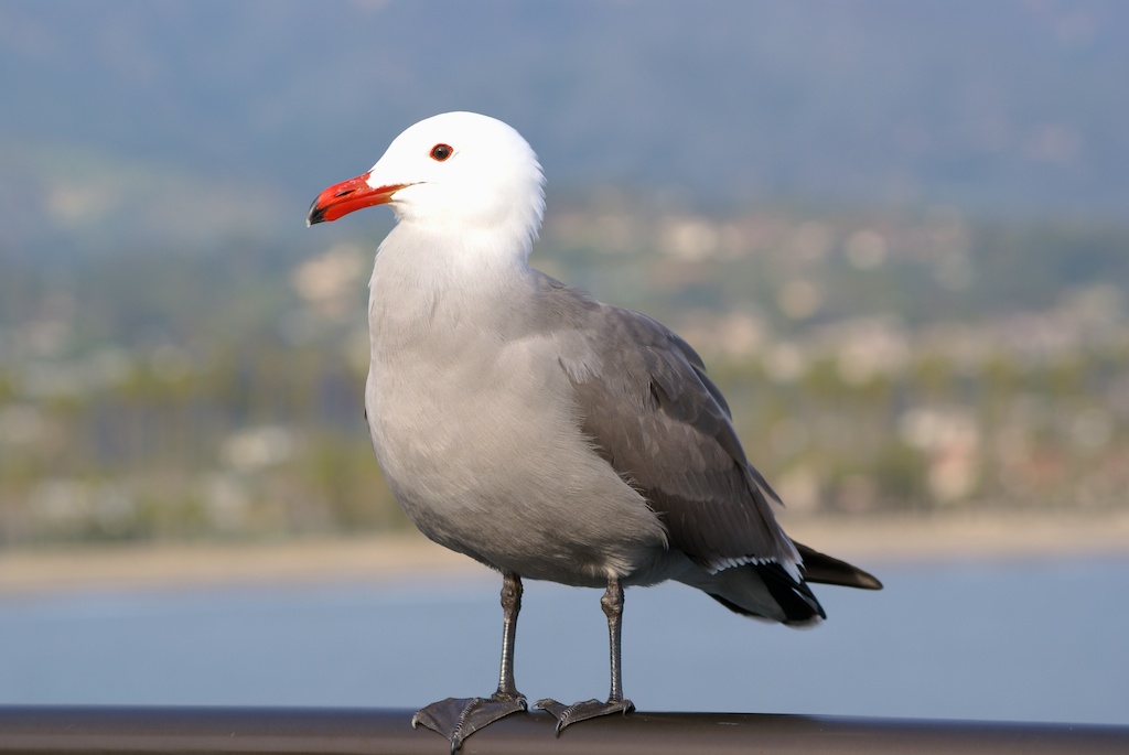 100550