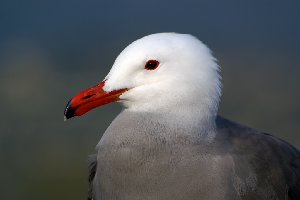 100551