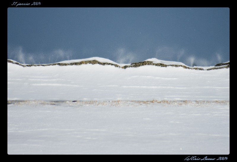 10106