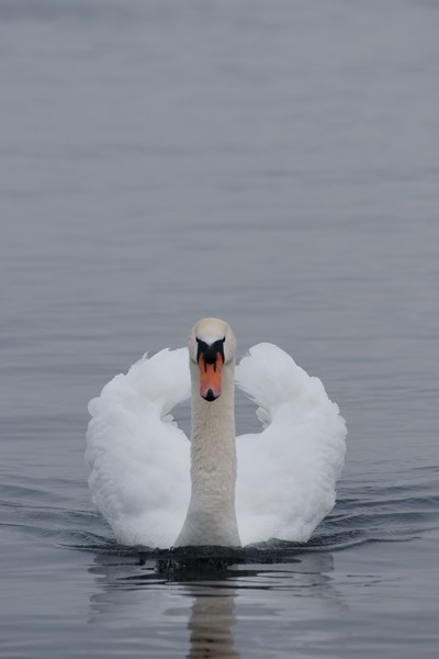 10188