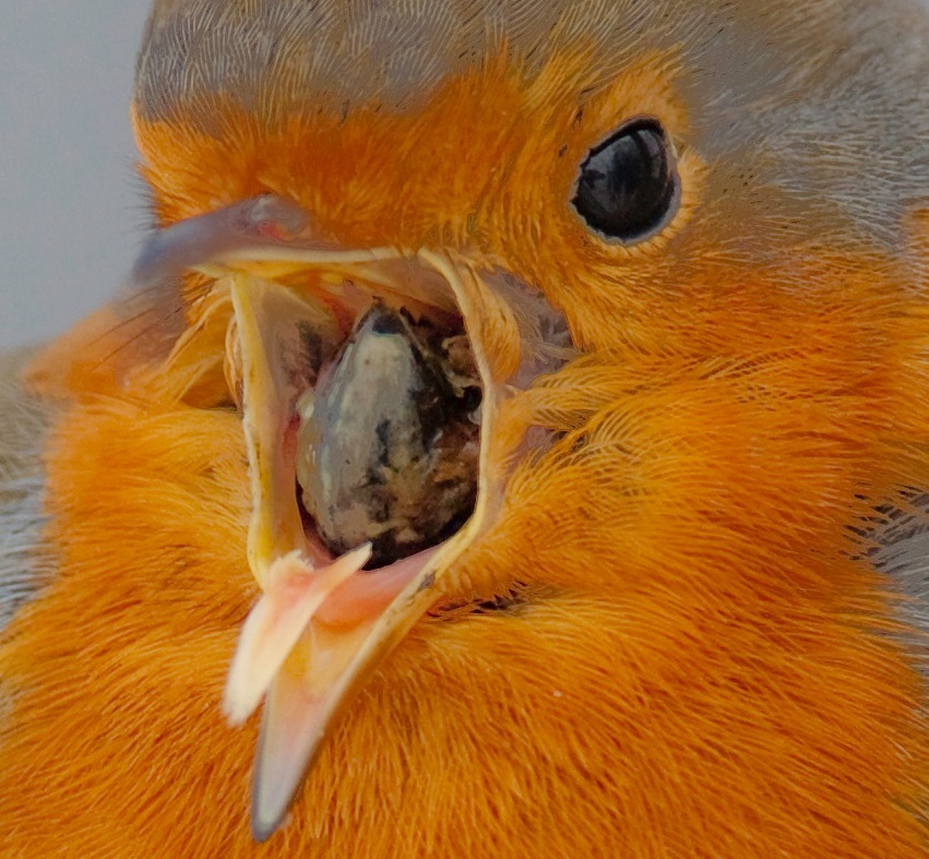 10206