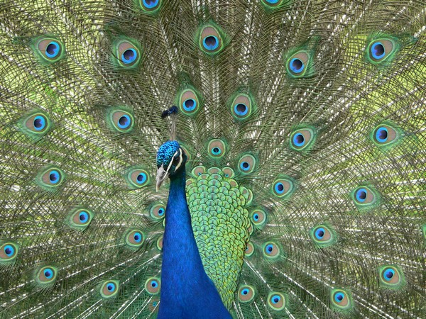 10214