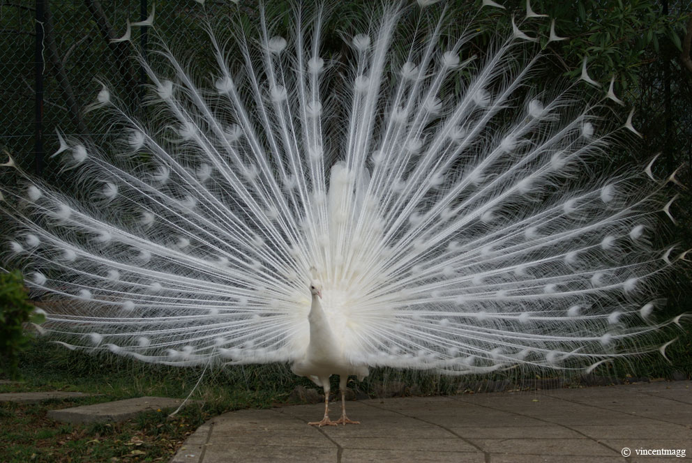 10224