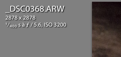 102807