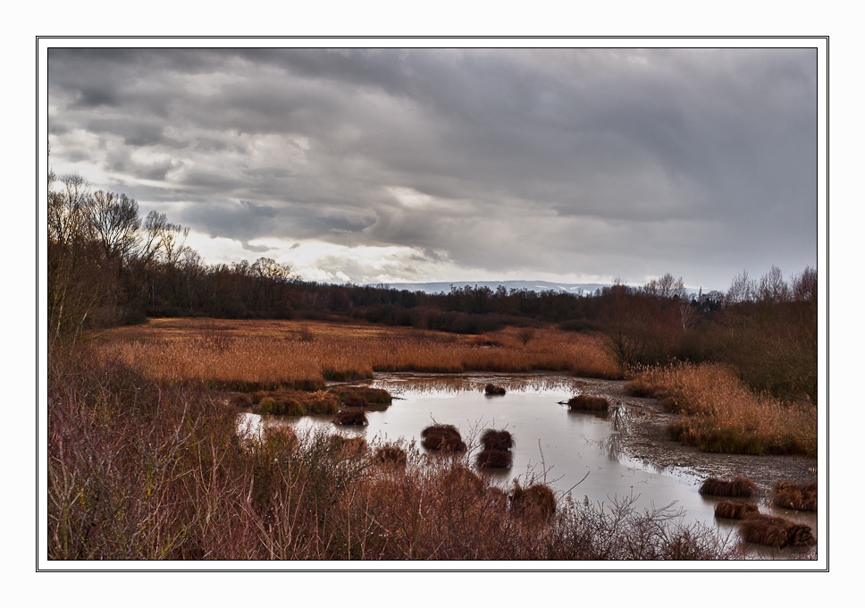 103554