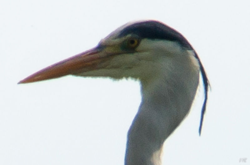103972