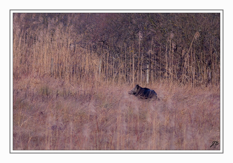 104032