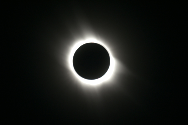 10618