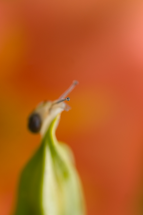 110130