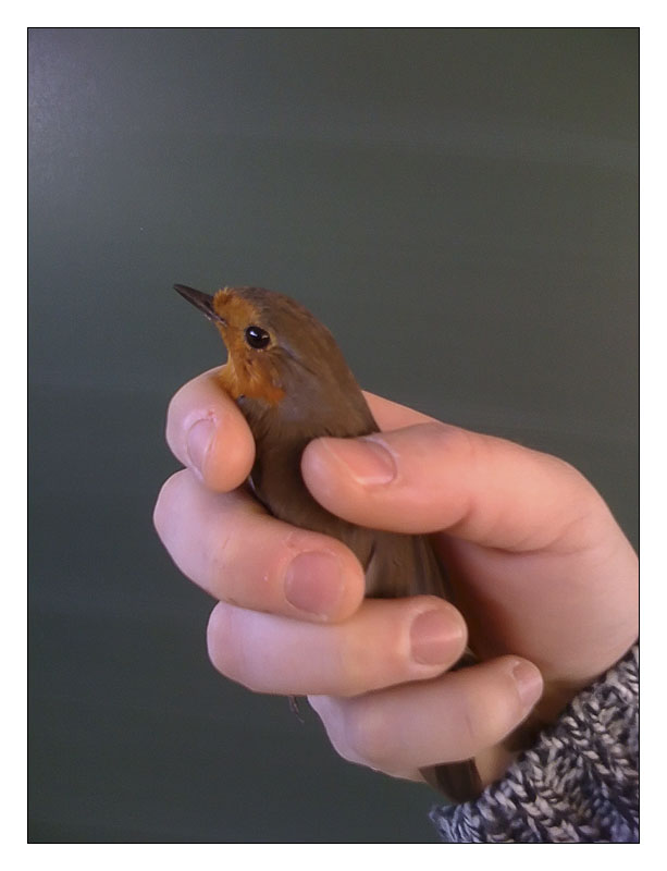 111580