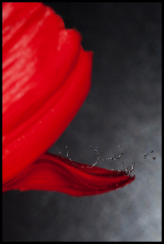 112052