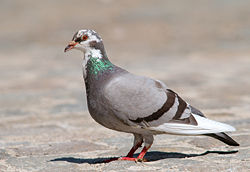113572