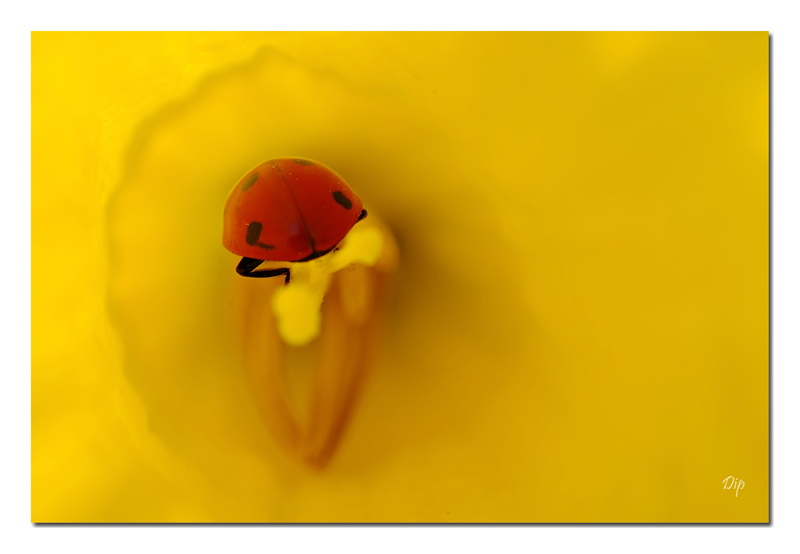 114279