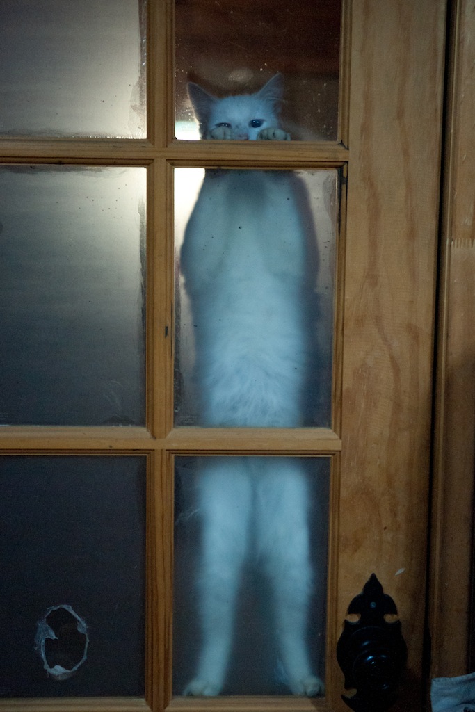 114491