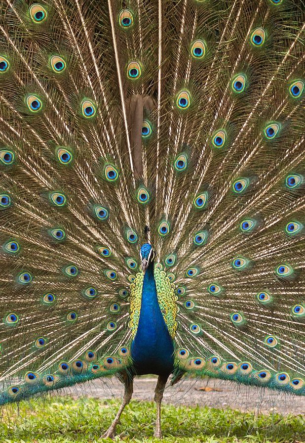 114634