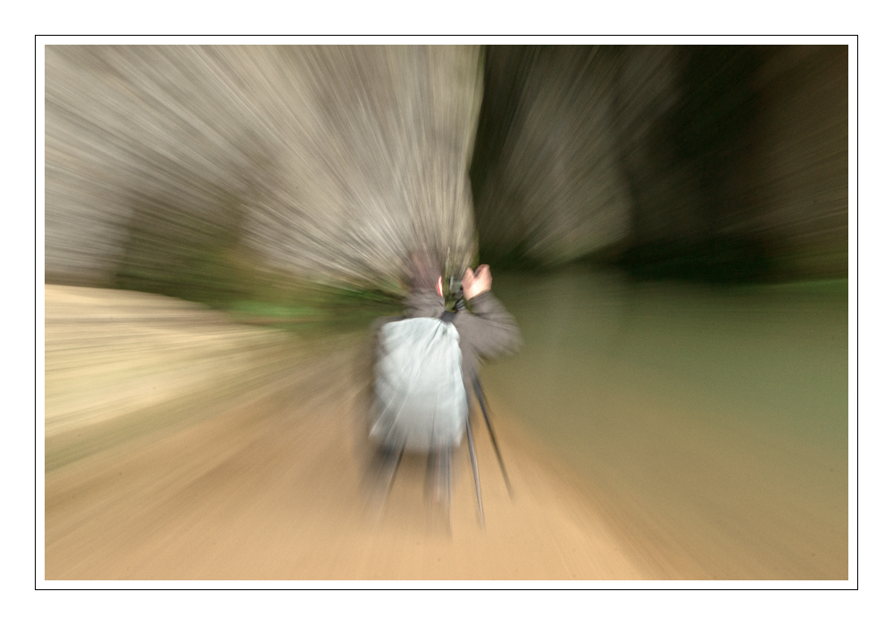 116365