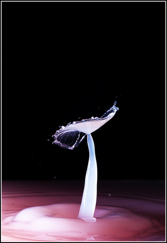 118186