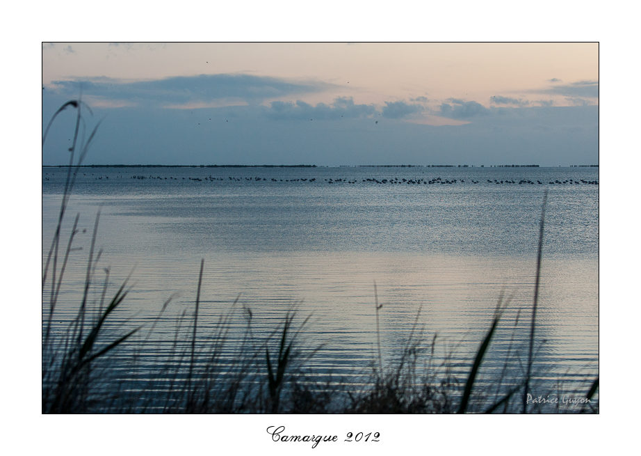 118391