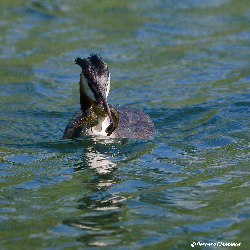 119440