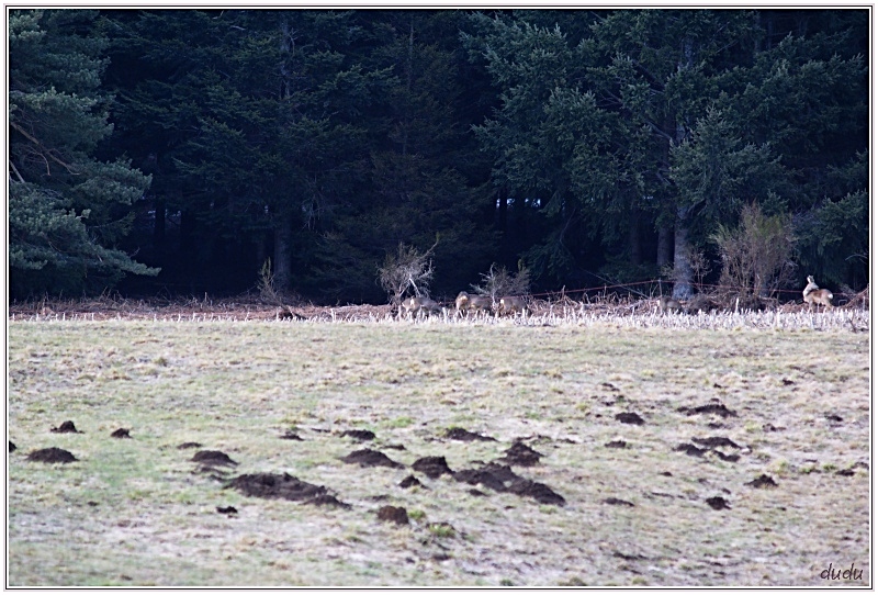 12004