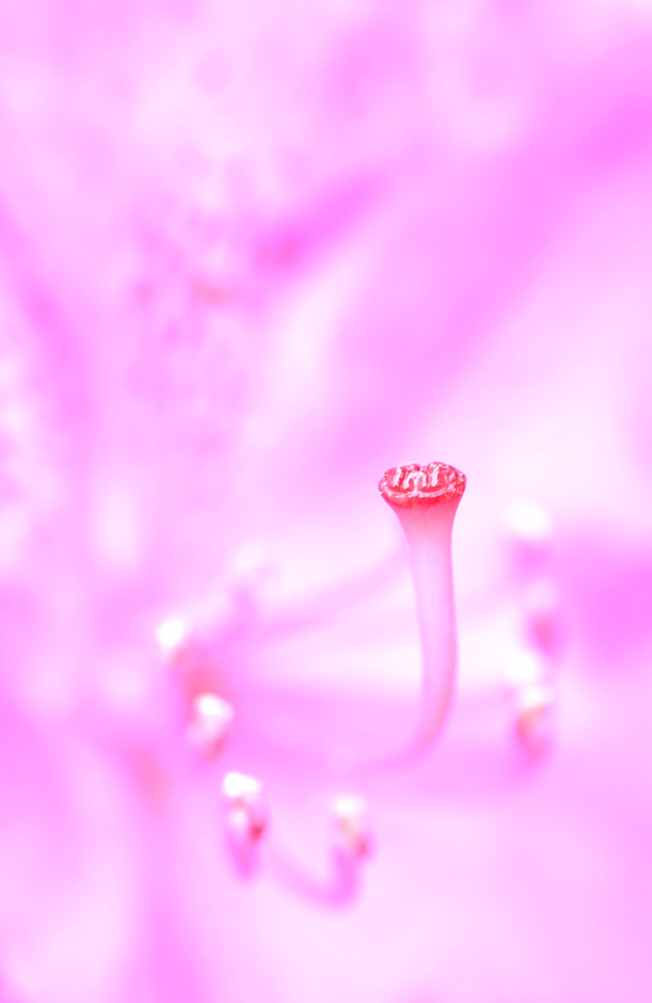 120150