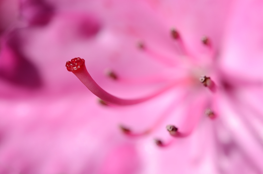 120152