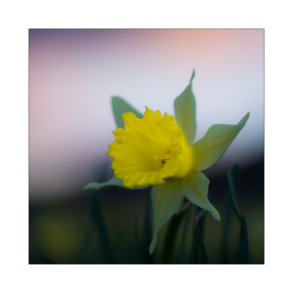 120221