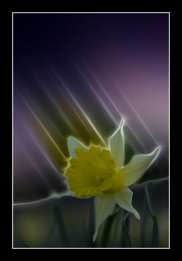 120253