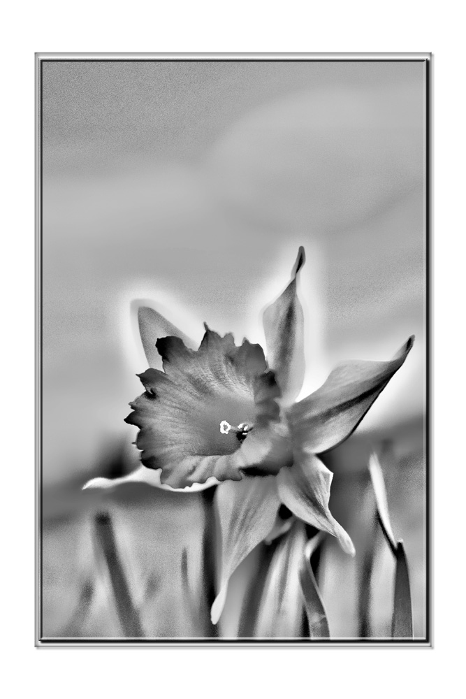 120315