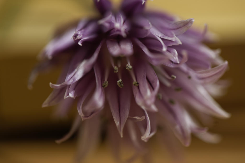 120324