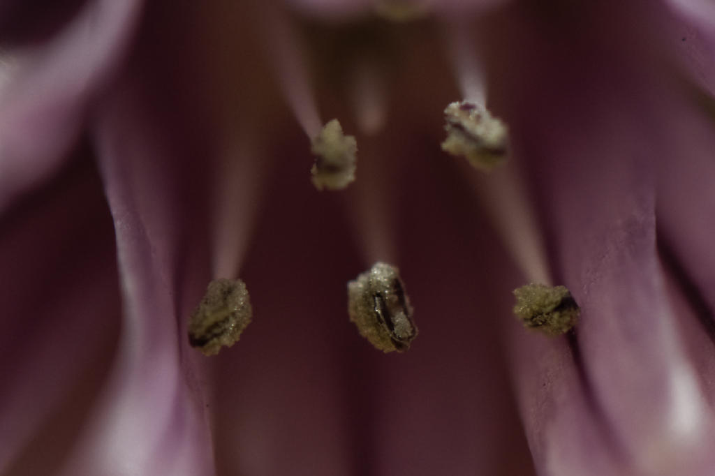 120325