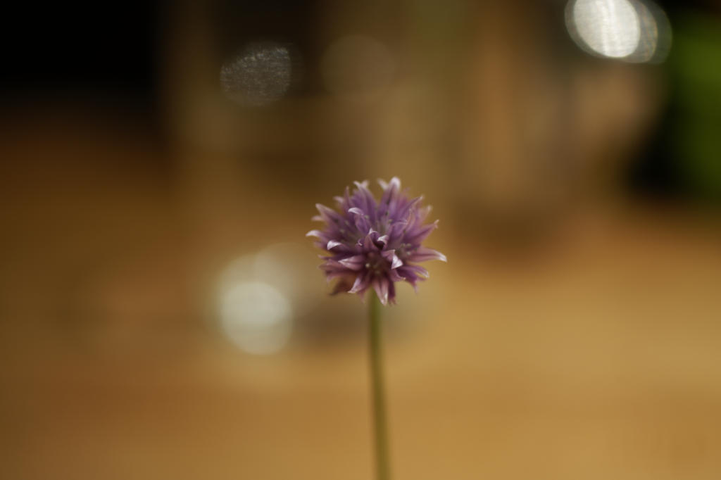 120347