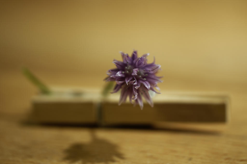 120348