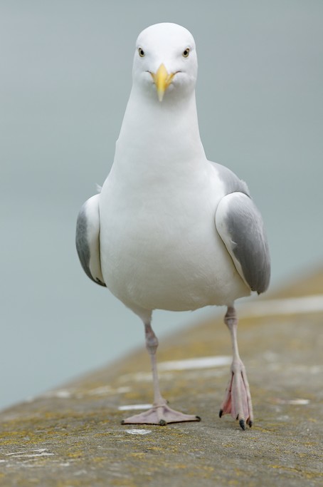 120865