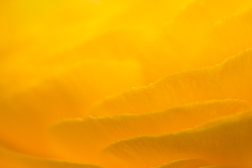 122358