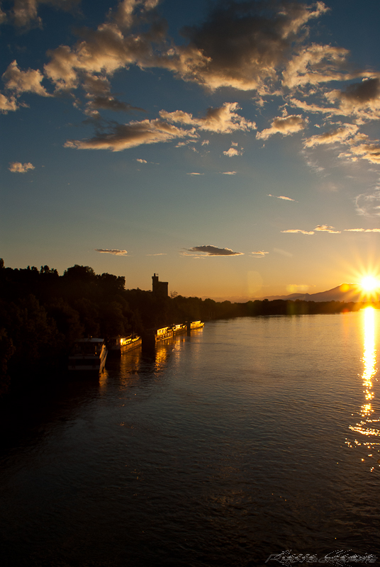 123741