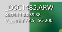 126391