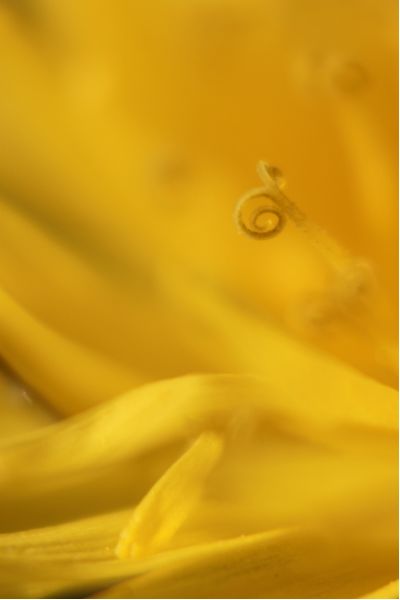 12826