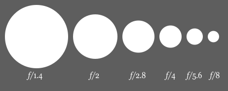 128356