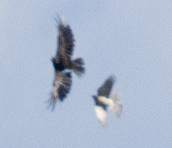 132040