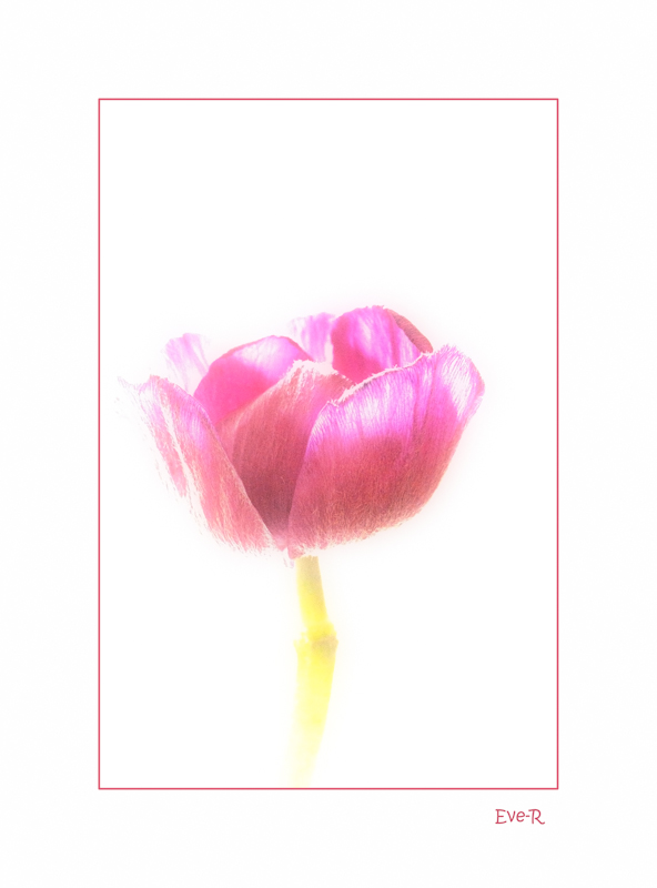 152705