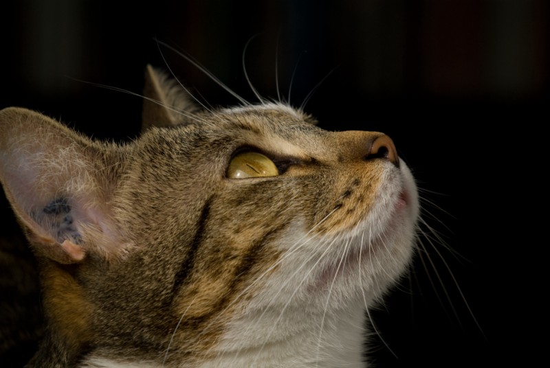 1536