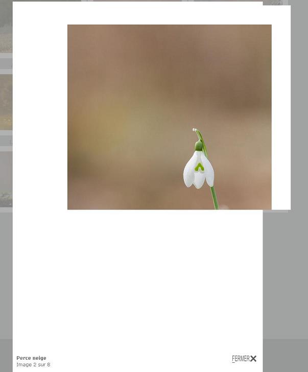 153785