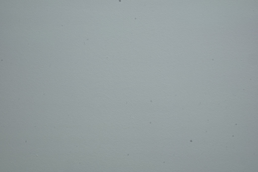 155564