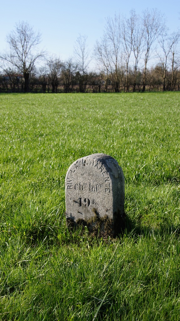 156547