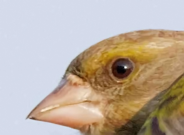 156687